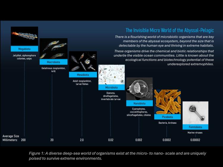 Figure1: Scientific Scope