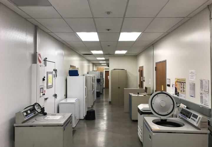Image of a shared research corridor in CLEE