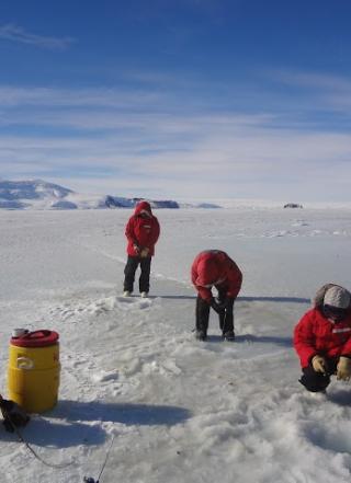 Students conducting ice coring in Antarctica