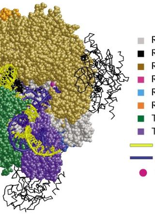 2 3D structure from the Bartlett lab