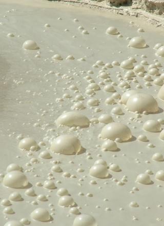 Hot spring bubbles