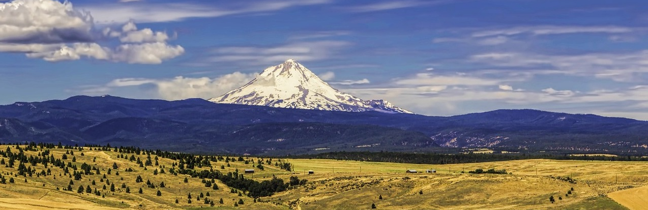 photo of Mt. Hood and foreground cropped