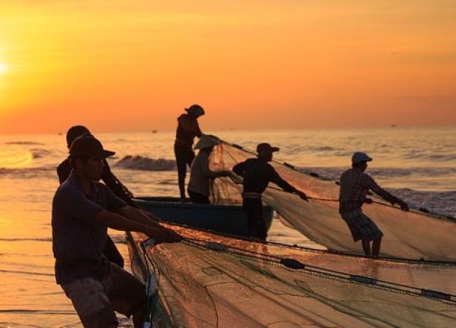 Fisherman pulling in net at coastline