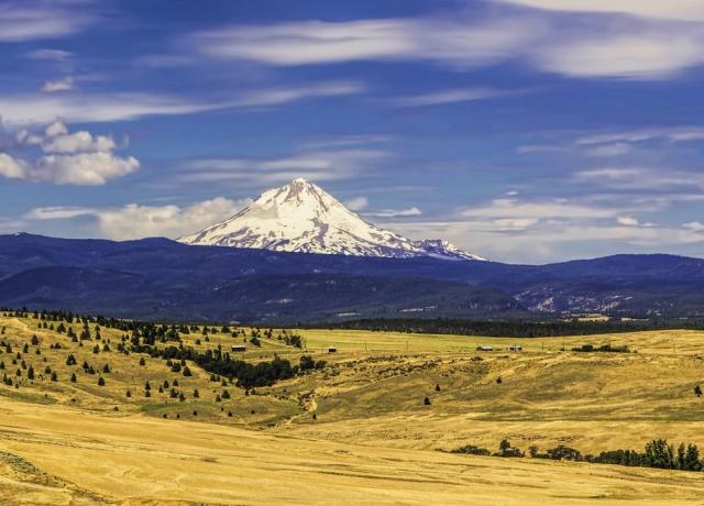 Mt. Hood and foreground