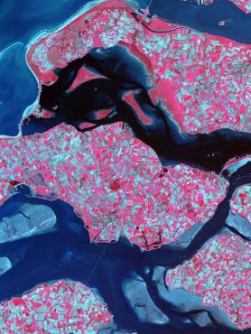 textural image