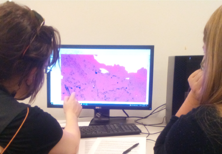 GIS students engaging with computer