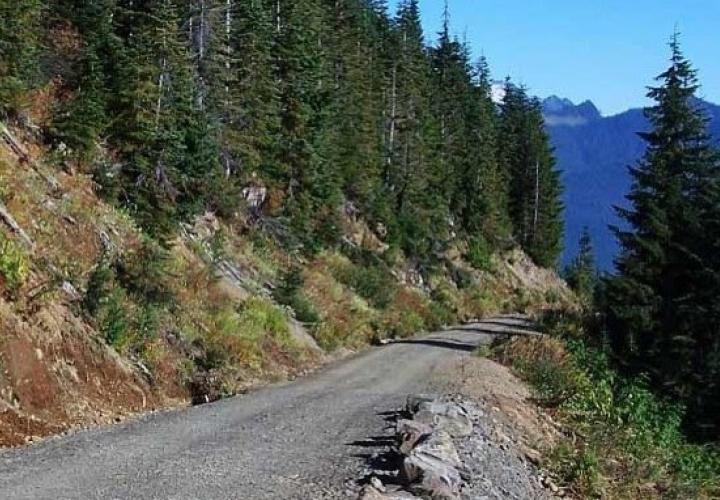 Mountain road, trees on left side