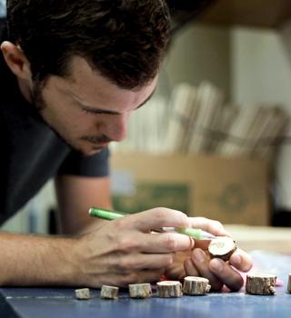 Researcher studies tree rings.