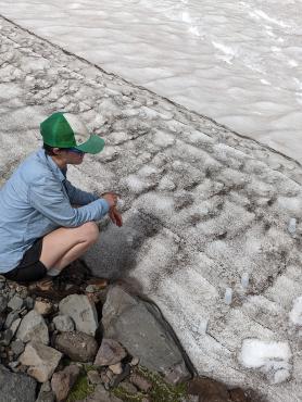 Sampling Snow