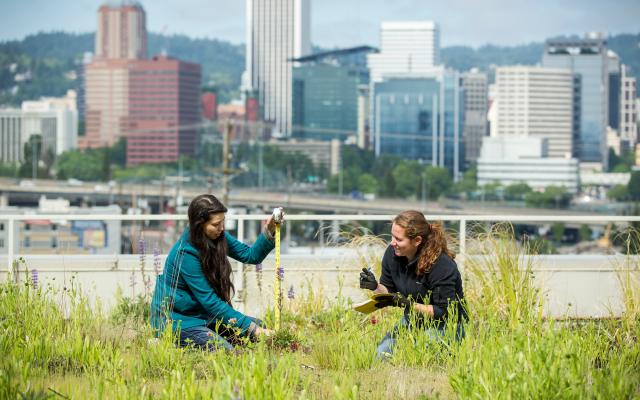 two Portland State University geology graduate students doing research on a rooftop garden