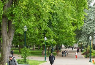 students on campus