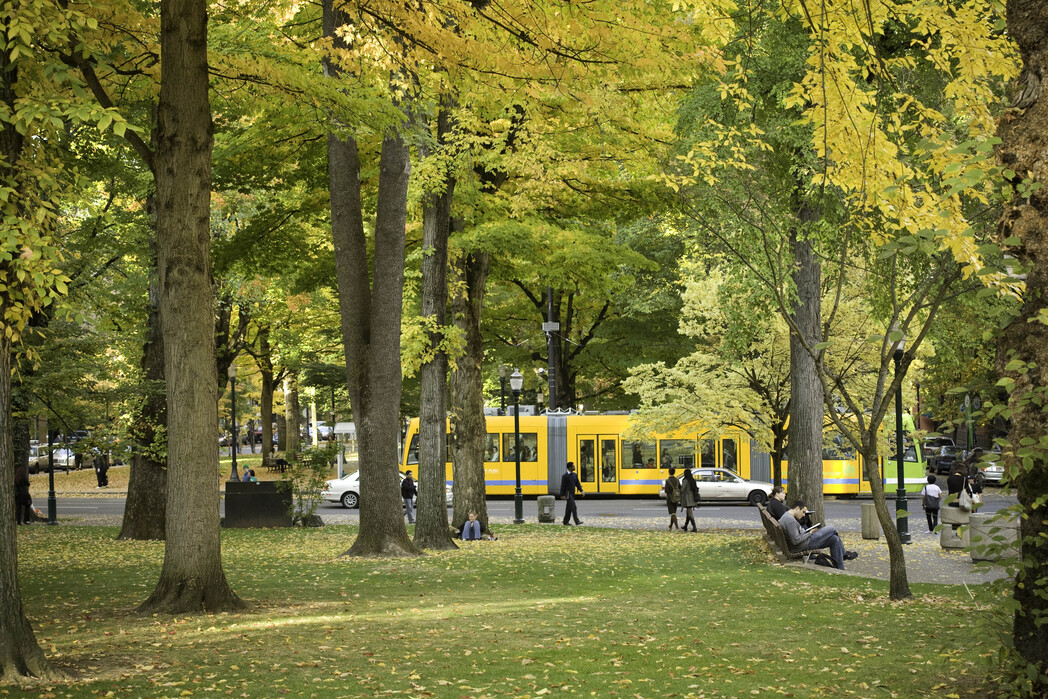 Portland Park Blocks
