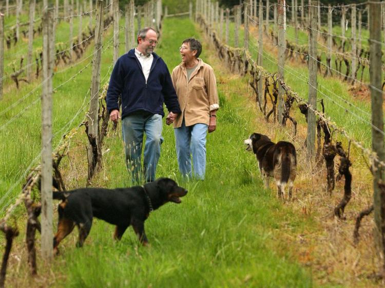 Elizabeth Furse winery