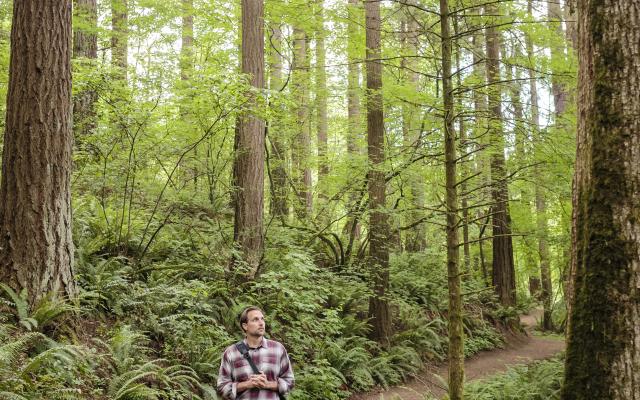 Man walking in green forest