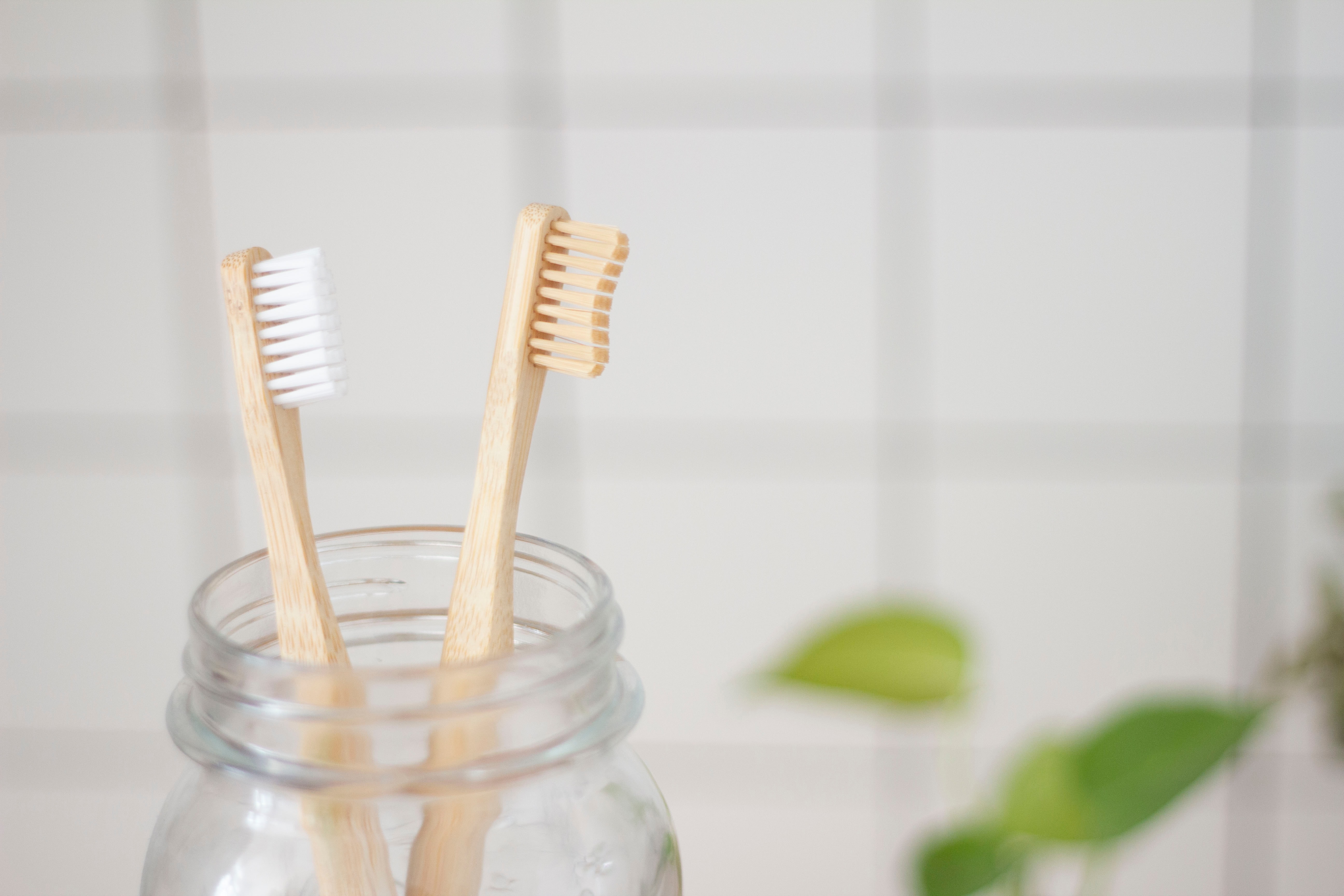 Decorative photo of toothbrushes in a bathroom.