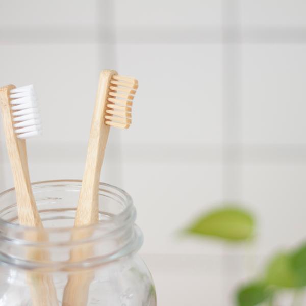 Decorative photo of toothbrushes in a bathroom.