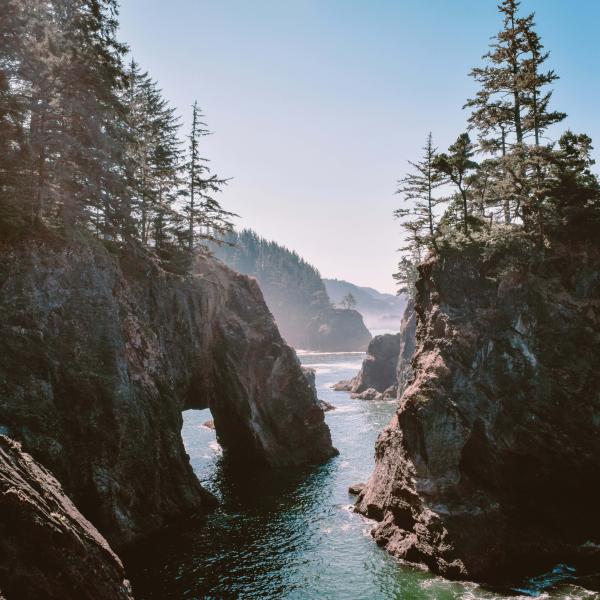 oregon coast with water, rock and trees