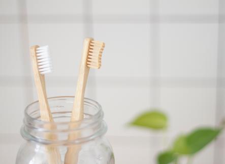 Decorative photo of toothbrushes in a bathroom.