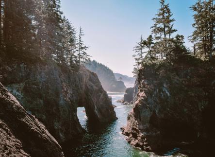 oregon coast with water, rock and trees