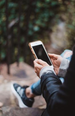 Person holding cell phone in hand.