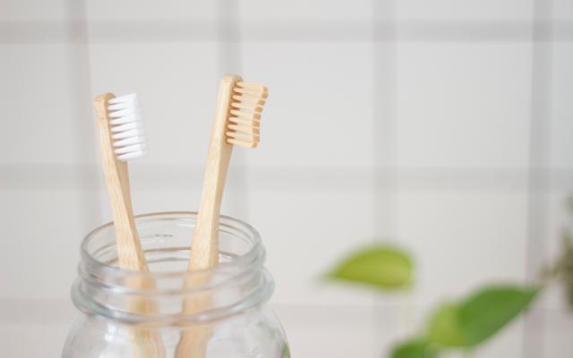 Decorative photo of toothbrushes in a bathroom.