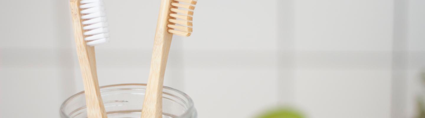PSU Dental Services