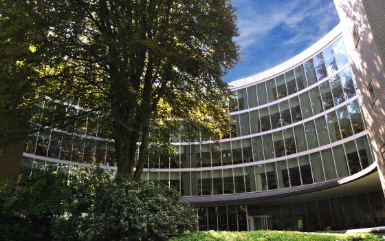 Watson's Beech Tree at PSU's Millar library