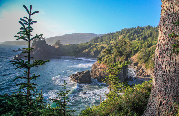 Oregon coast