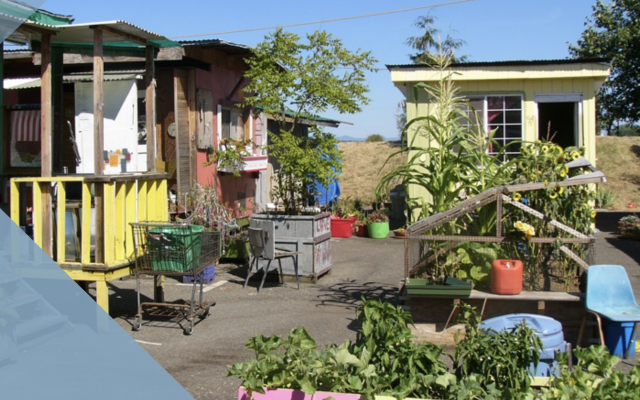 Dignity Village on a sunny day. Potted plants surround a few pods. 