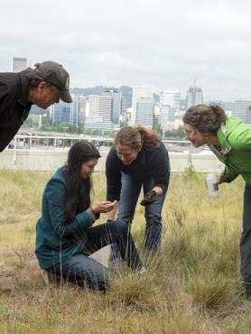 PSU Honors students and faculty doing research on a rooftop garden