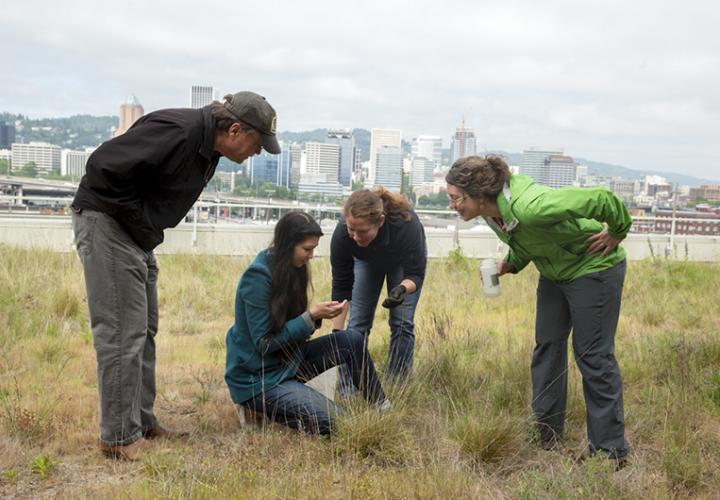 PSU Honors students and faculty doing research on a rooftop garden