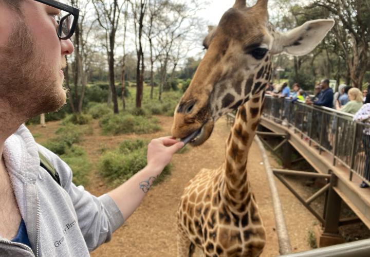 Student feeding a giraffe