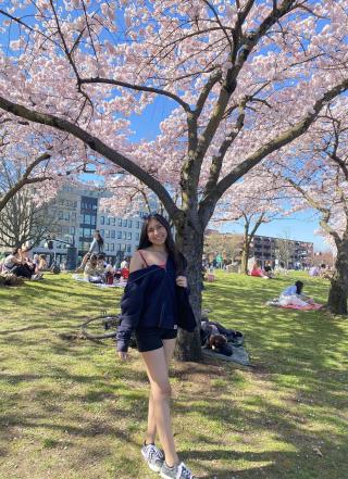 Suzie with cherry blossoms