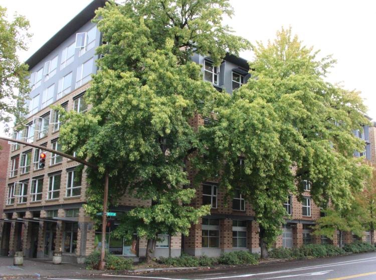 Exterior image of Stephen Epler Hall with green trees outside the building.