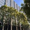 Ondine Hall - a large glass and concrete building on a sunny day.