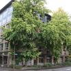 Exterior image of Stephen Epler Hall with green trees outside the building.