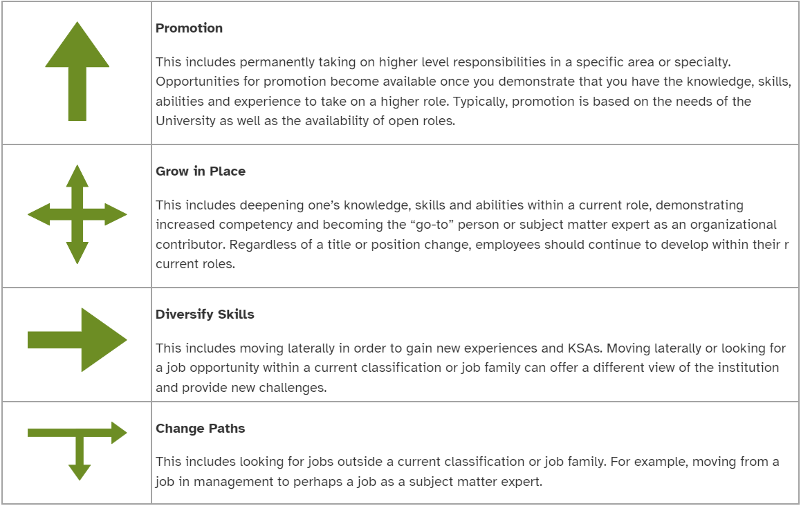 Career Choices Infographic