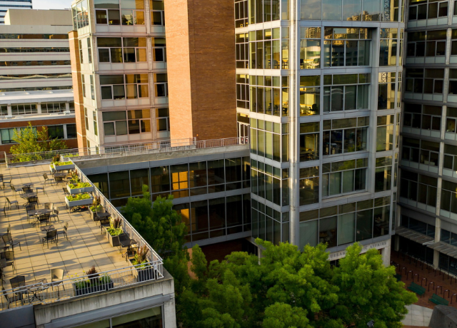 View of university buildings