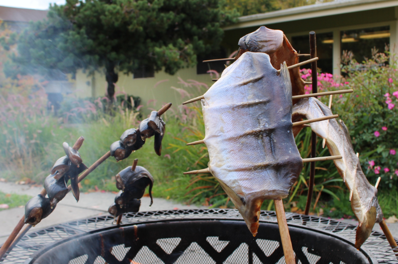 Salmon bake