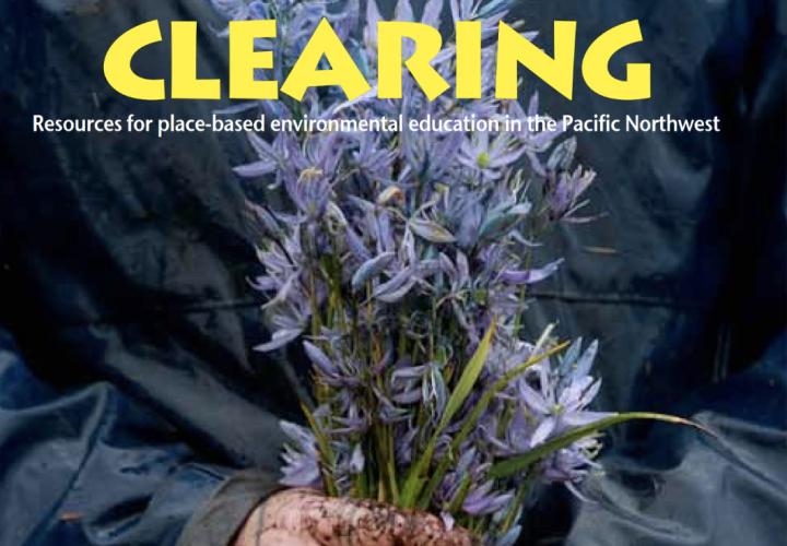 Clearing Magazine Cover