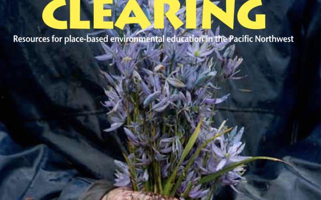 Clearing Magazine Cover
