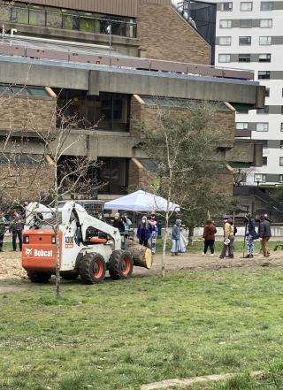 Placing our fist log for the Oak Savanna Circle