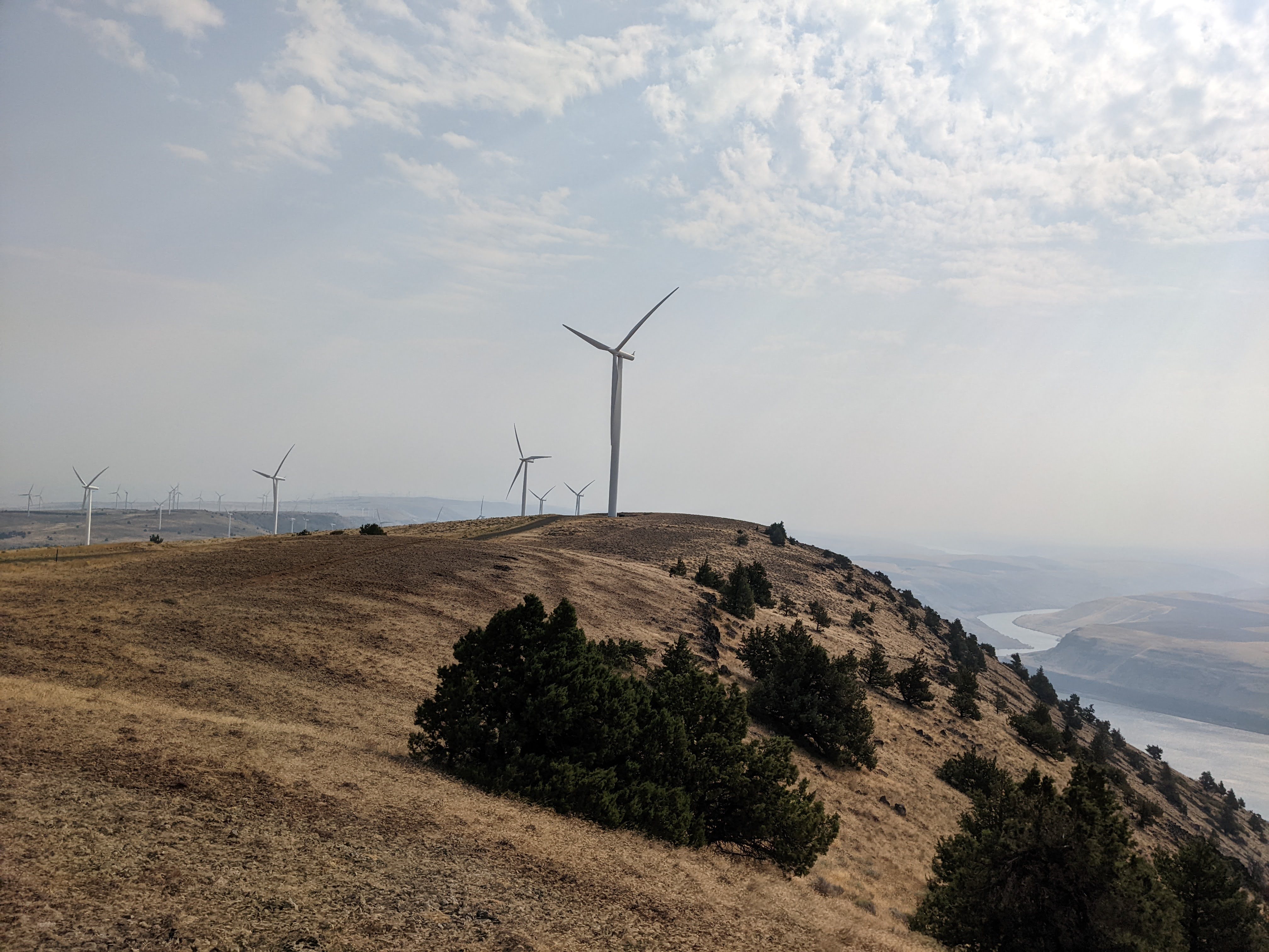 Wind turbines on a hill overlooking the Columbia River