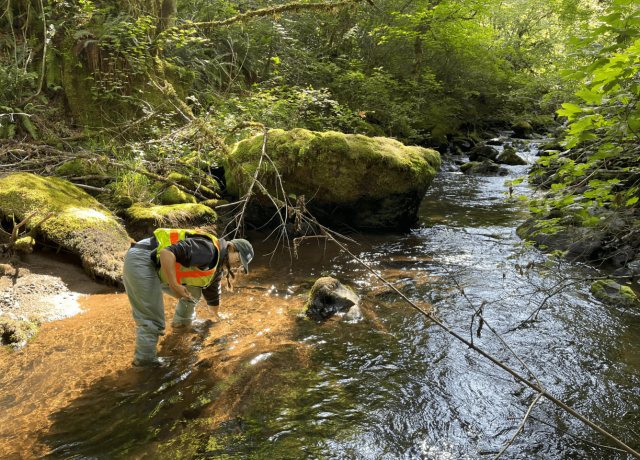 USGS hydrologic technician uses a tool to measure streambed particles in a river.