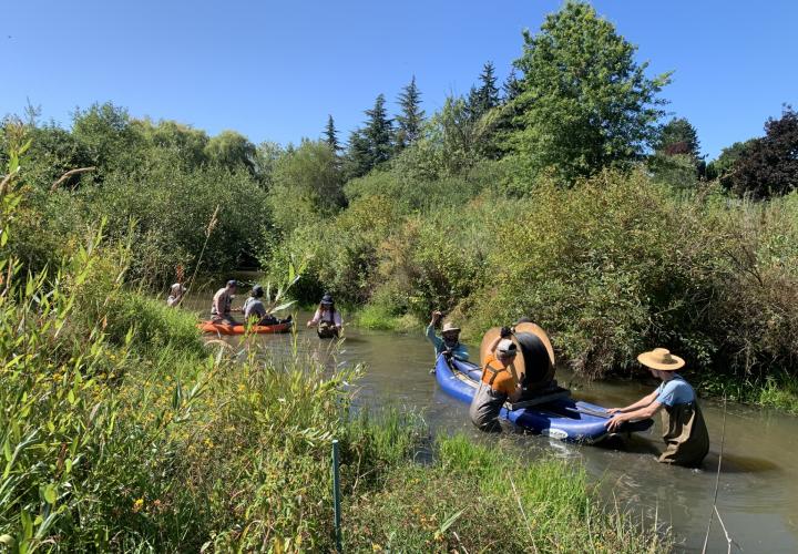 Researchers are dragging a canoe with equipment through a stream