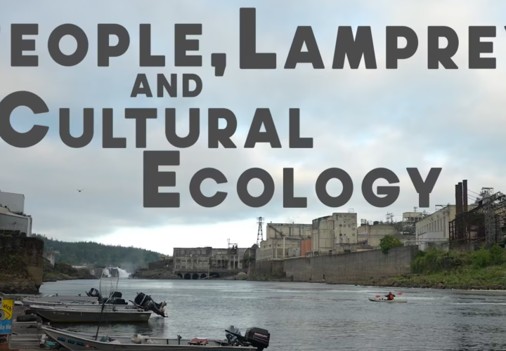 screenshot of a video that says people, lamprey, and cultural ecology