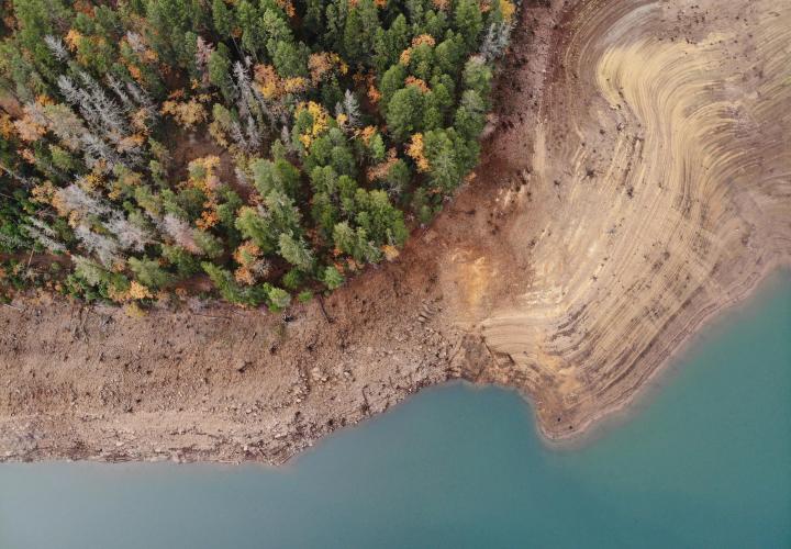 A birds-eye view of conifer trees next to the shore of a reservoir.