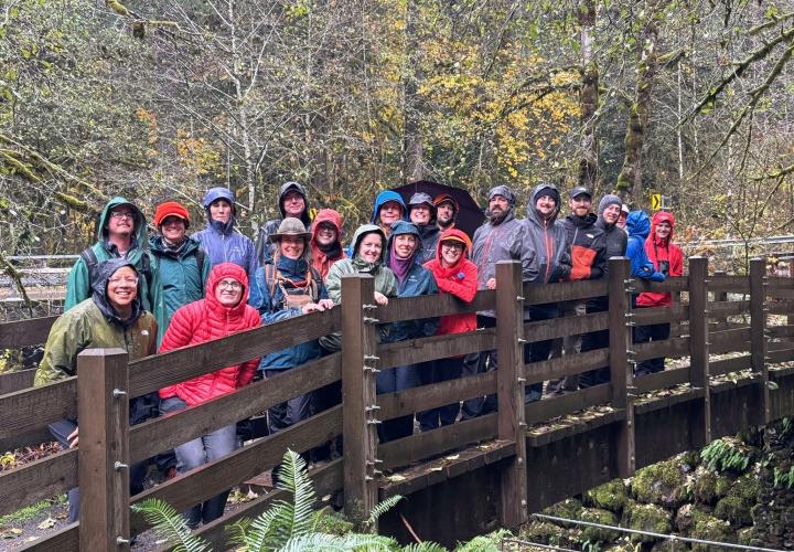 A group of people in rain gear standing on a pedestrian bridge in a deciduous forest.