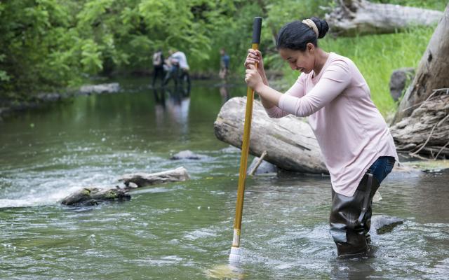A woman stands in a river measuring the depth of the water