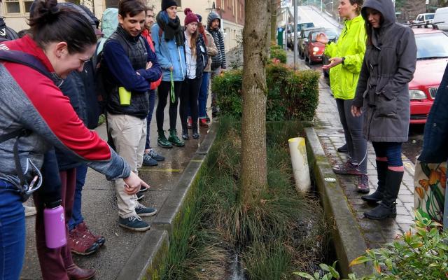Water Resource Management class fieldtrip urban stormwater